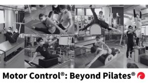 ITTAP認定 第12期 Motor Control®: Beyond Pilates®Comprehensive 認定指導者養成コース開催決定！！